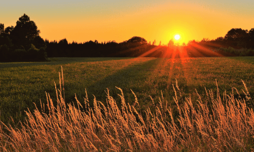 Sunrise representing new beginnings
