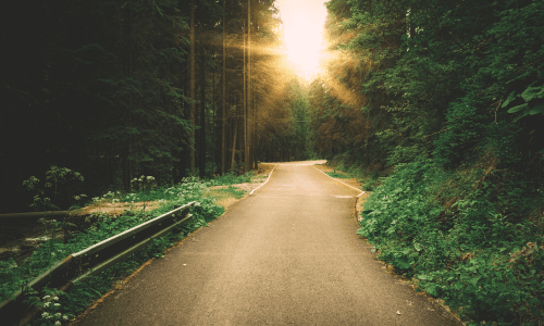 Professional therapy session at EM Therapies - supportive environment for mental wellbeing